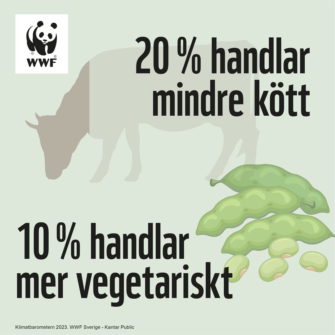 WWFs Klimatbarometer indikerar att stigande matpriser kan styra mot mer hållbar matkonsumtion: en tredjedel (34 procent) uppger att de kastar mindre mat och en femtedel att de handlar mindre kött. 
👉wwf.se/pressmeddeland…
#swgreen #svpol #klimat