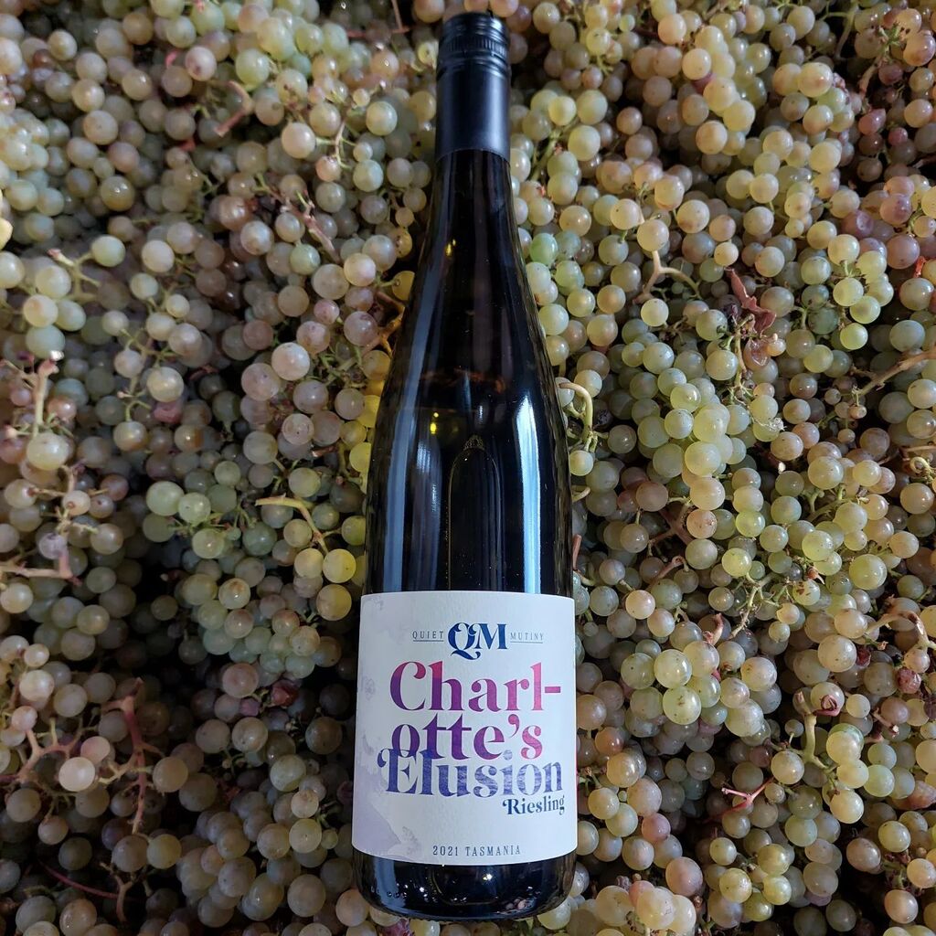 QuietMutiny's tweet image. From Instagram: instagr.am/p/CrPygQPLORM/

Before and after

#TassieWine