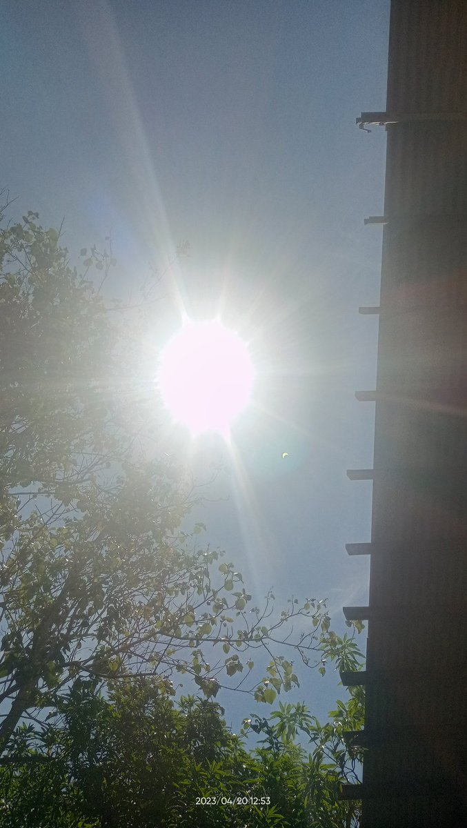 Chingfeb24's tweet photo. Hybrid Daw!! Hahaha
#SolarEclipse https://t.co/1PN2p7hggl