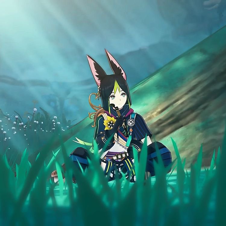 fennecfriendo's tweet photo. Info! https://t.co/y0o24EtvYi