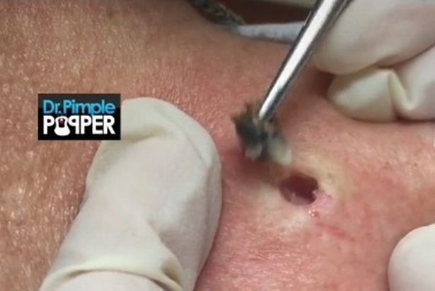 Daniel Kim tweet media