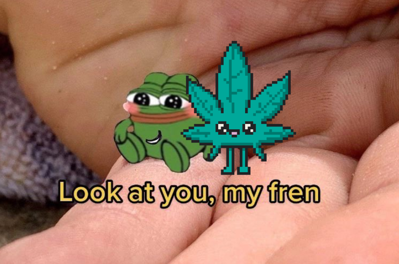 ☁️☁️ $HIGH QUICK LINKS ☁️☁️  

Telegram: t.me/highcoineth 

Website: highcoin.green  

Chart: dexscreener.com/ethereum/0xdb4… 

Contract address: 0xdb45BaAad49c7EA3ceD2042E146b8fa501c40669