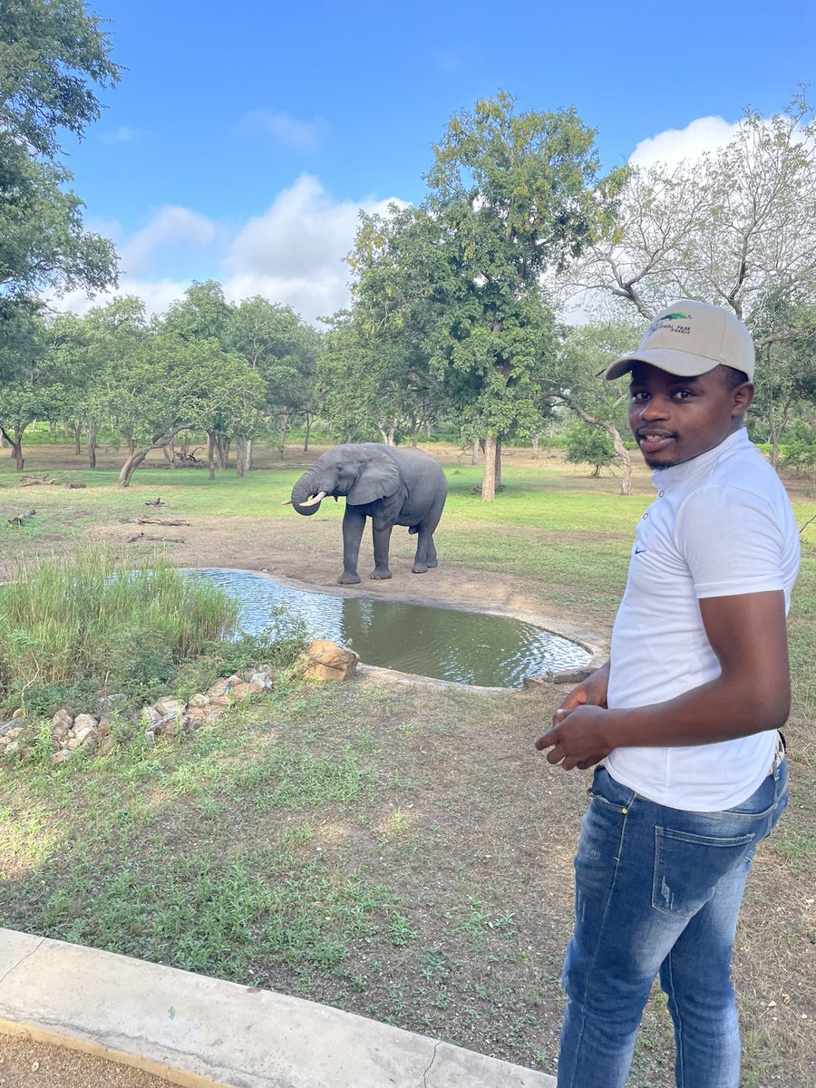 Good morning from <a href="/AfricanParks/">African Parks</a> Majete N Reserve. 

At Thawale lodge, a place with a guarantee to see elephant. 

A proof of wildlife peace and confidence to human being- all comes to huge efforts of conservation. <a href="/MalawiGovt/">Malawi Government🇲🇼</a>