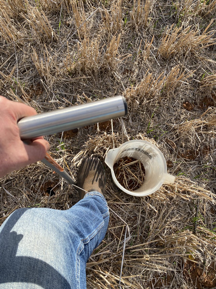 JasonBrand's tweet photo. Woomelang Pulse Agronomy site 23. Pegged, pathways, knockdown, sampled ✅. Ready for sowing- New varieties (lentils, beans, chickpeas, peas) disease management, herbicide tolerance/weeds &amp; more. @DMAg_consultant @agrokate @kbhobbo @FanningJosh_ https://t.co/S91oh08SjV