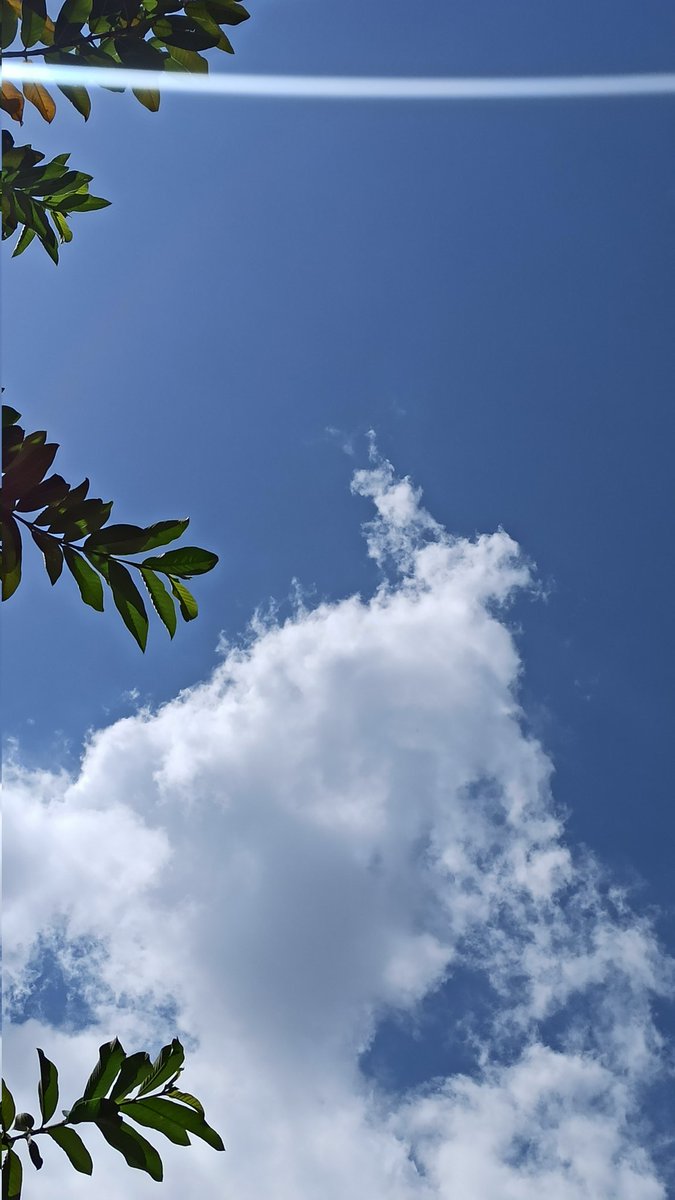 Seemab__'s tweet photo. Clouds🤍🥺🤍 https://t.co/toIEjRHJmH