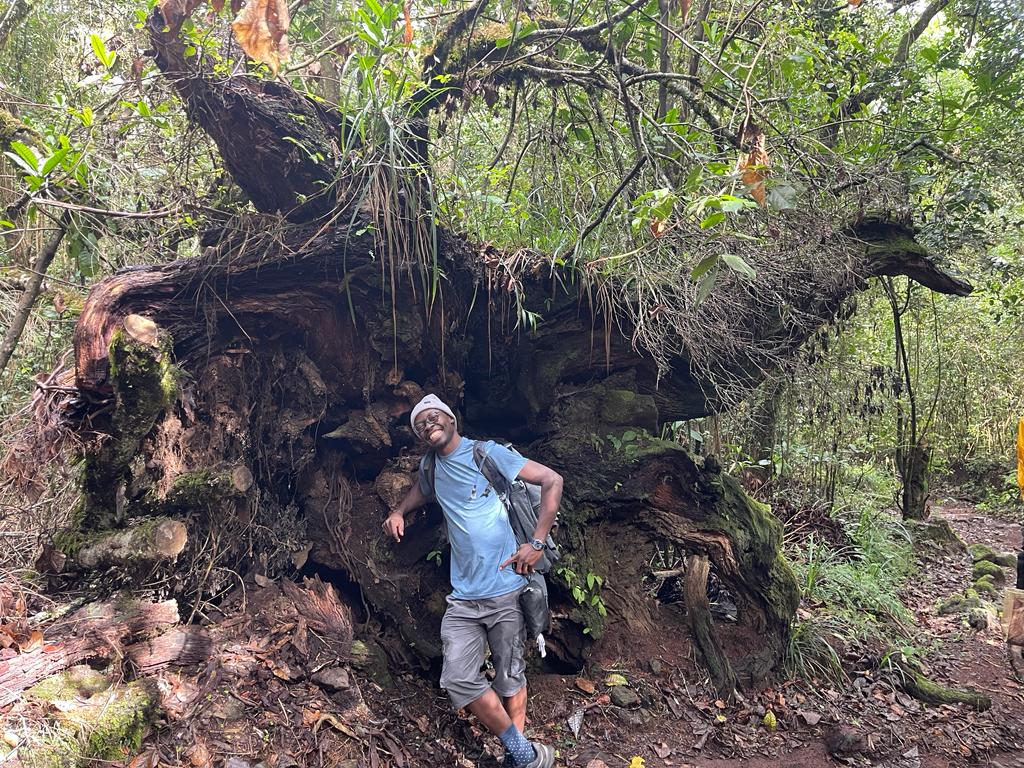 Don_Hikers's tweet photo. Hear me out okay....just hear me out.
It's not a bad idea 😁
See how happy superman on the right is 🥺 https://t.co/fQJPzKFsy7