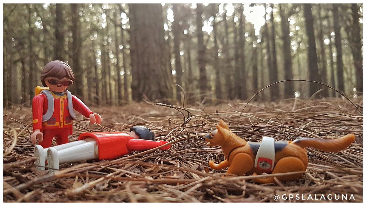 G.P.S.LaLaguna tweet media