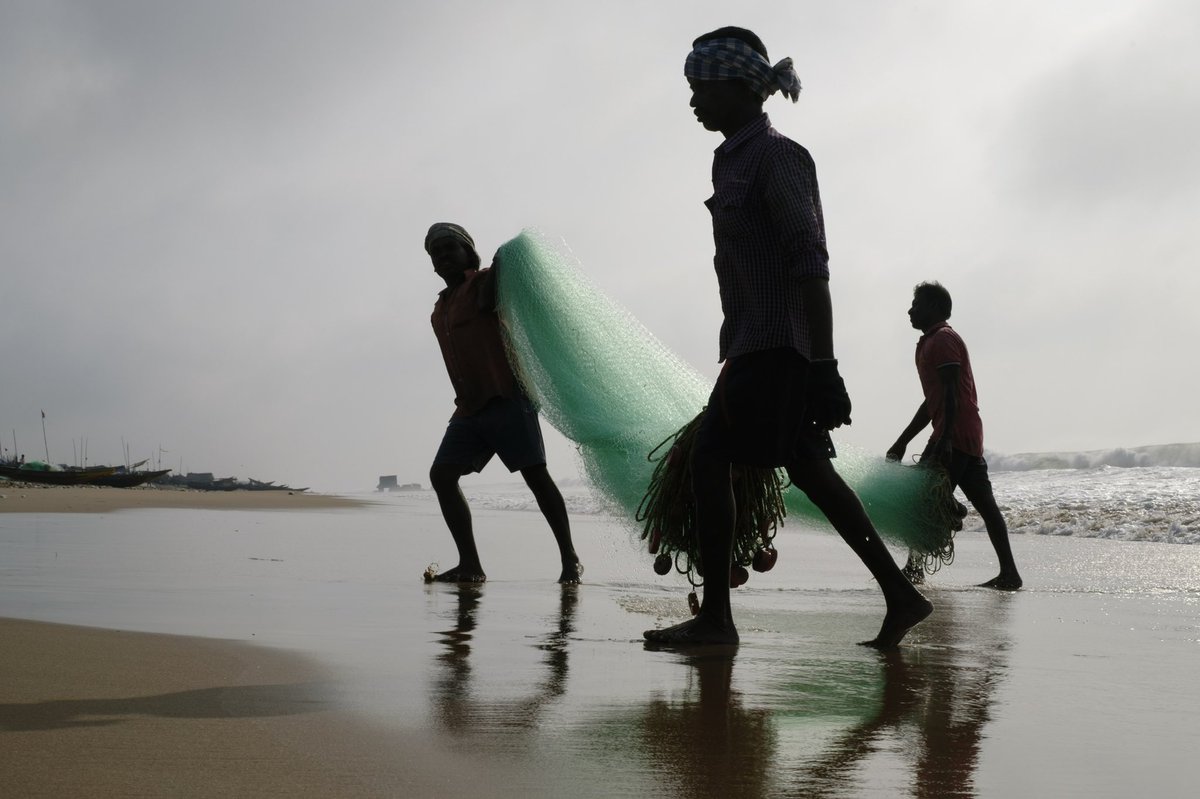 Good morning, fam🔆
I wish you all a great day!

/Odisha/archive