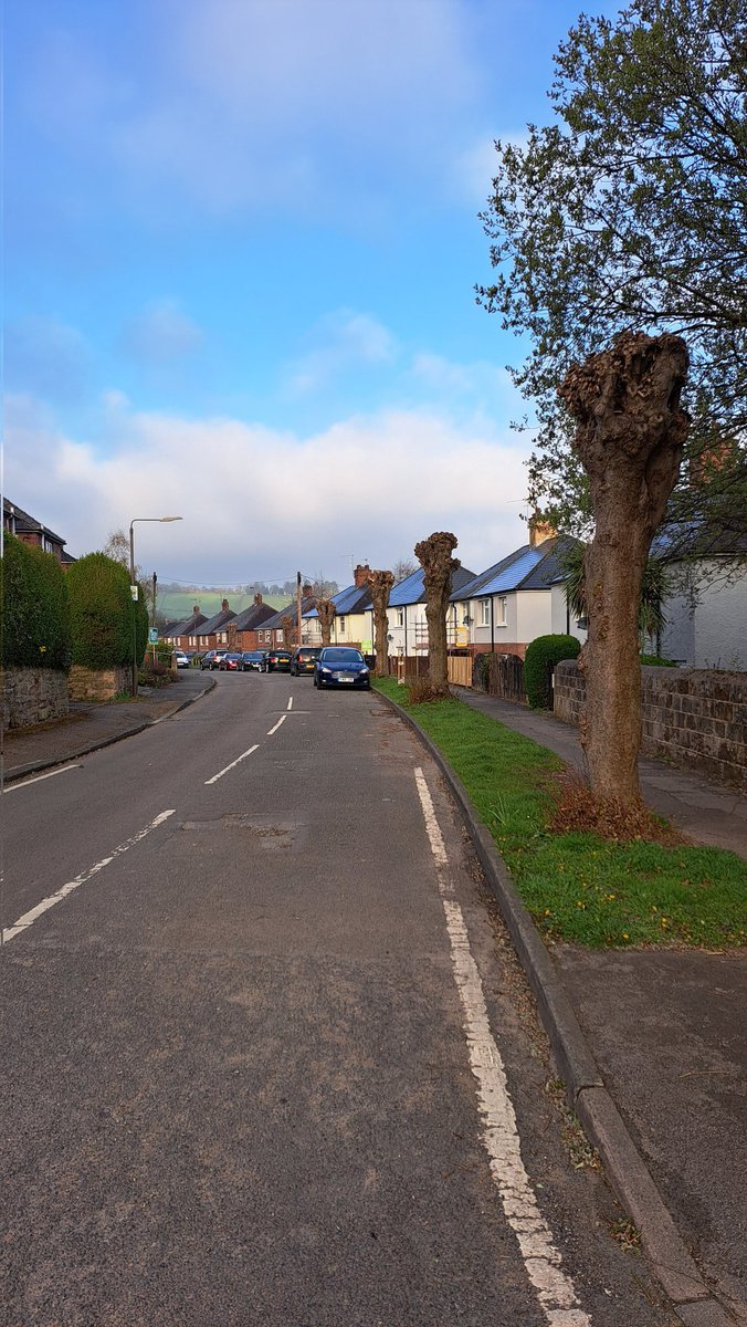 There's a time and a place, but I'm not sure this is either.

Local authorities must do better in explaining the benefits of trees and their canopies to citizens.