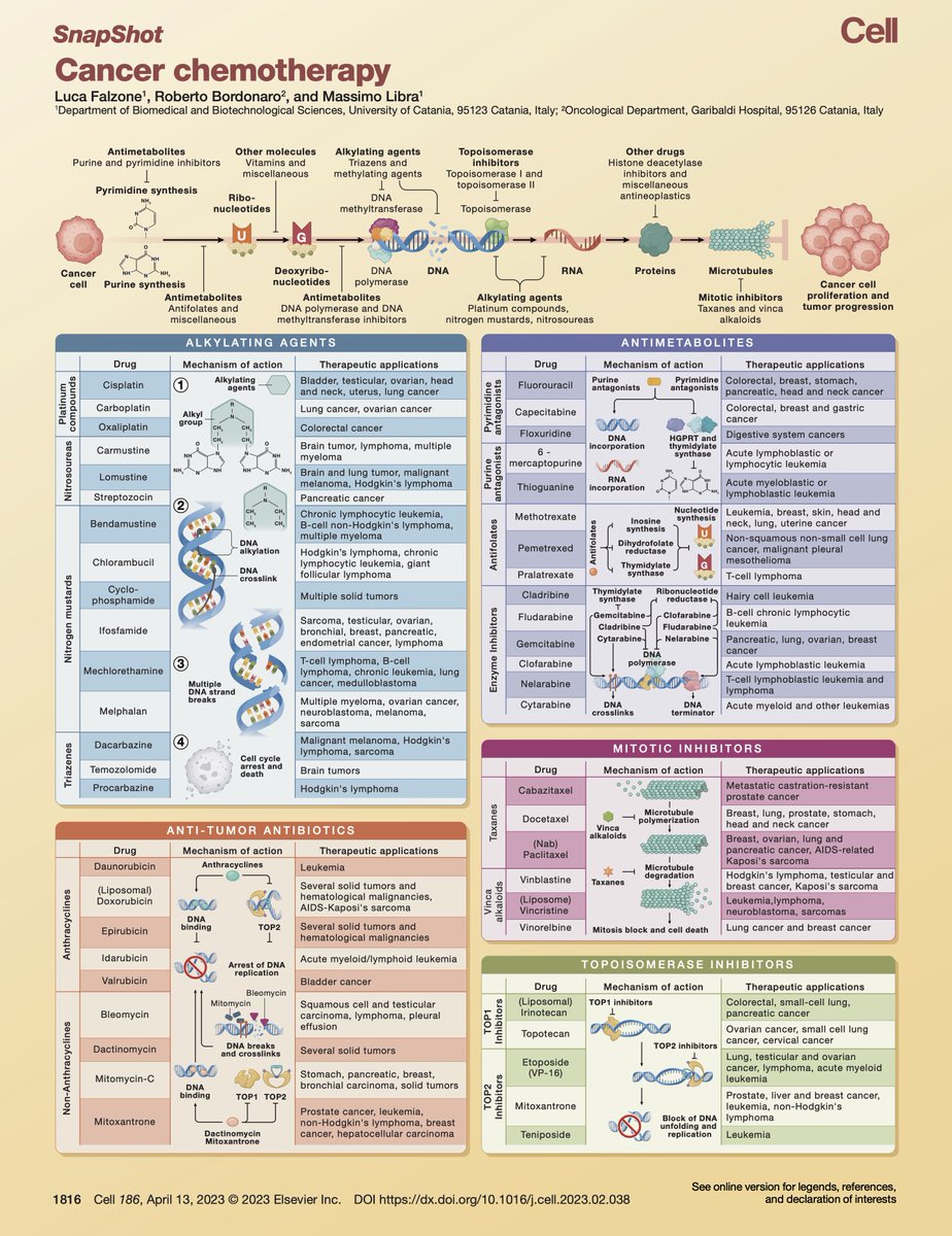 Luca Falzone tweet media