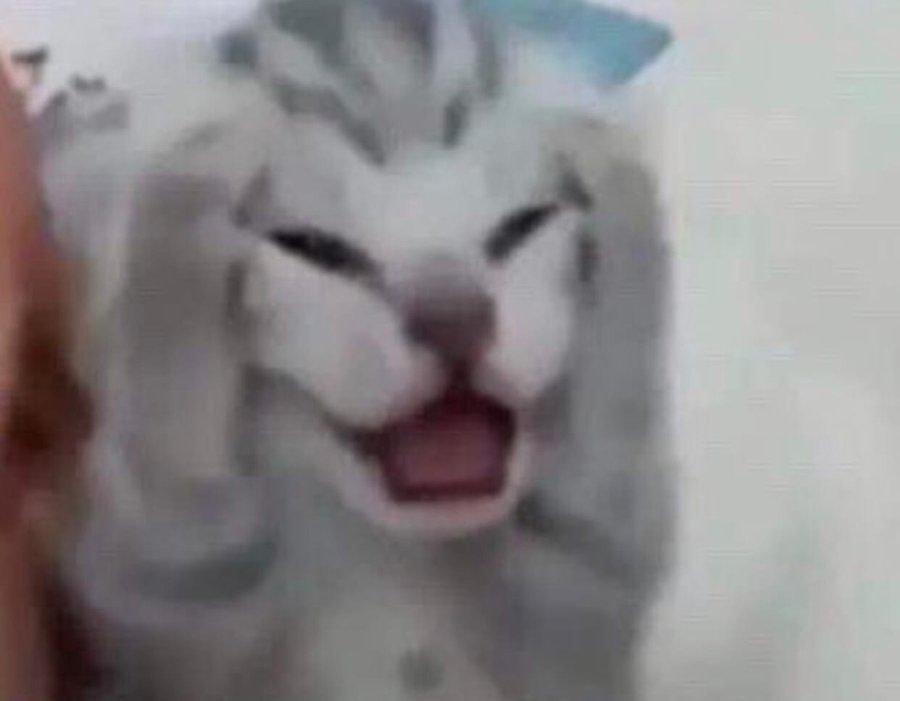 SNIPINGHOM's tweet image. 