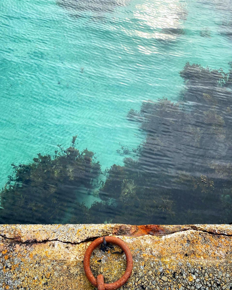 ruthamorrison's tweet photo. Jewellery inspiration - textures and patterns
Barra - Outer Hebrides
#isleofbarra #outerhebrides #barra #scottishislands #scottishbeaches #marram #shells #beach #rocks #sealife #scottishcoast #coastal #scotlandexplore #scotlandshots #newcollection #jewellerycollection https://t.co/EPlkKF4nSF