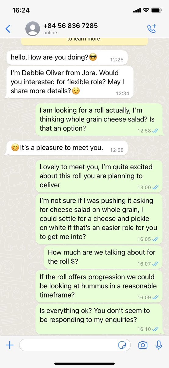 The boy does enjoy taunting WhatsApp spammers and scammers 🧀🥖