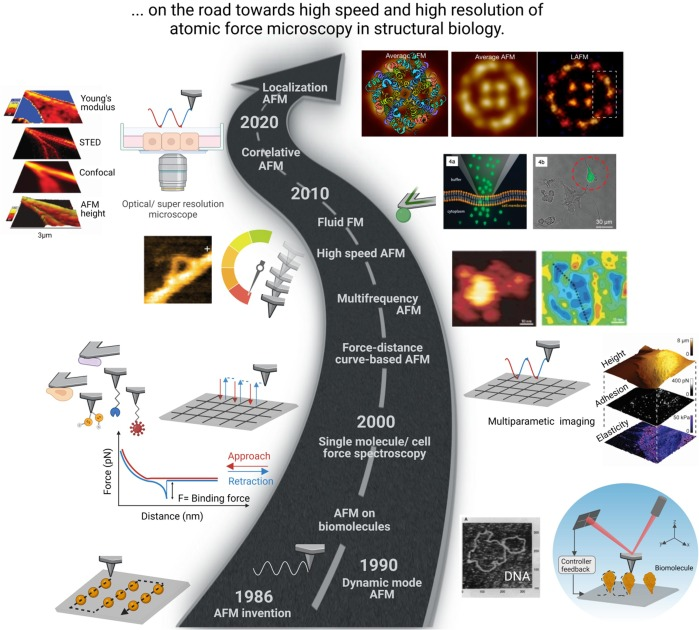 Andra Dumitru (@andra_dumitru) on Twitter photo <a href="/melli_koehler/">Melanie Köhler</a> 🥳🔬🧬We review key AFM developments in structural biology and give an overview of current limitations and future challenges lying ahead 👇 <a href="/melli_koehler/">Melanie Köhler</a> 🥳🔬🧬We review key AFM developments in structural biology and give an overview of current limitations and future challenges lying ahead 👇