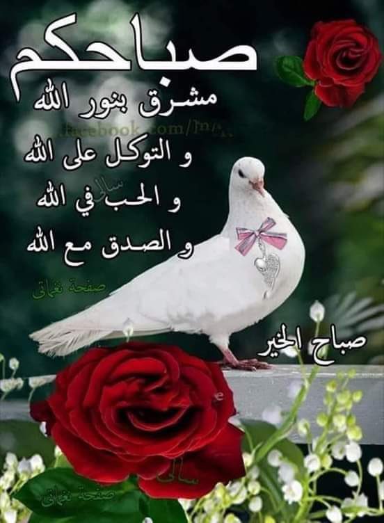 @محمد غازي الحربي (@almzni2420) on Twitter photo 