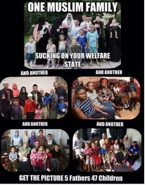 FreedomsBritish tweet picture