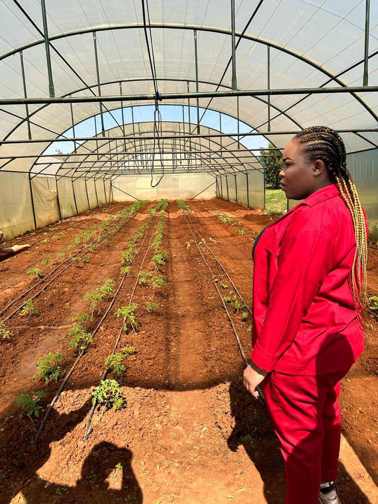 ennie_makhafola's tweet photo. ♦️In Picture♦️

MMC for Health &amp; Social Development was at the Orange Farm on an oversight at the Social Development Centre, where the Food Resilient Unit have both a farm, a bakery which are ran by the community &amp; a Skills Development Centre for Children &amp; Adults to be empowered https://t.co/11BgRW6Dxd
