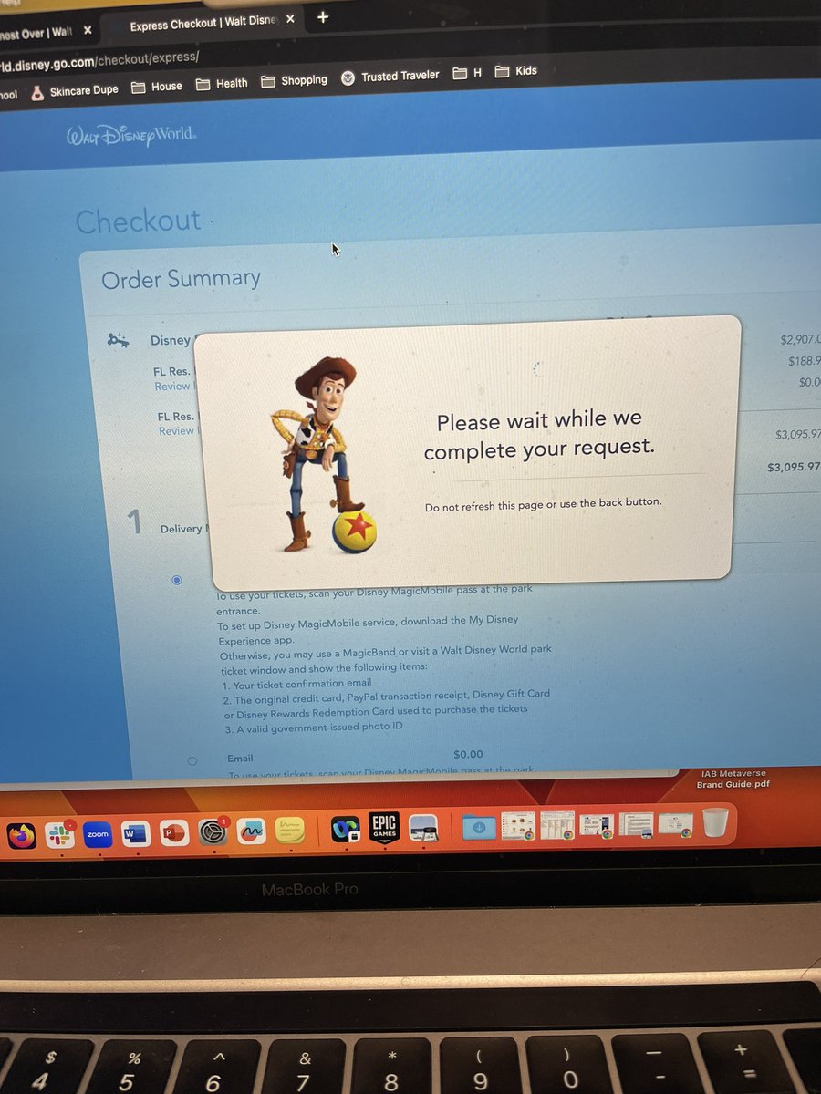 KidsSafetyKatie's tweet photo. @WDWAPH #disneyannualpassim stuck here. Can I refresh? https://t.co/MsIGqiDM9E