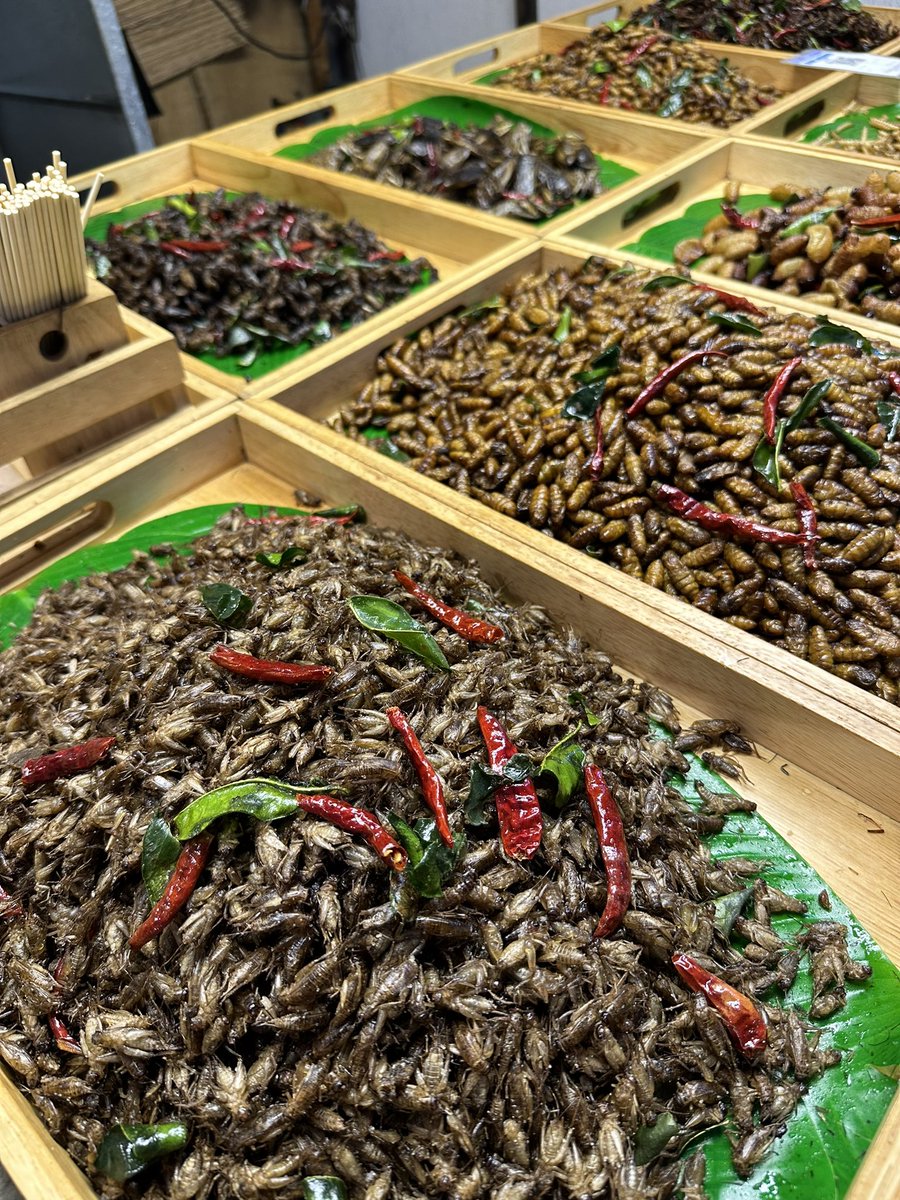 MarkusManson tweet media