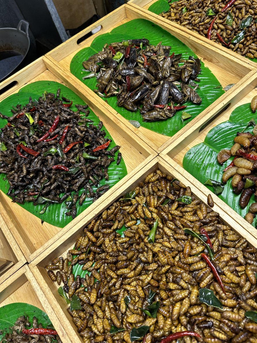 MarkusManson tweet media