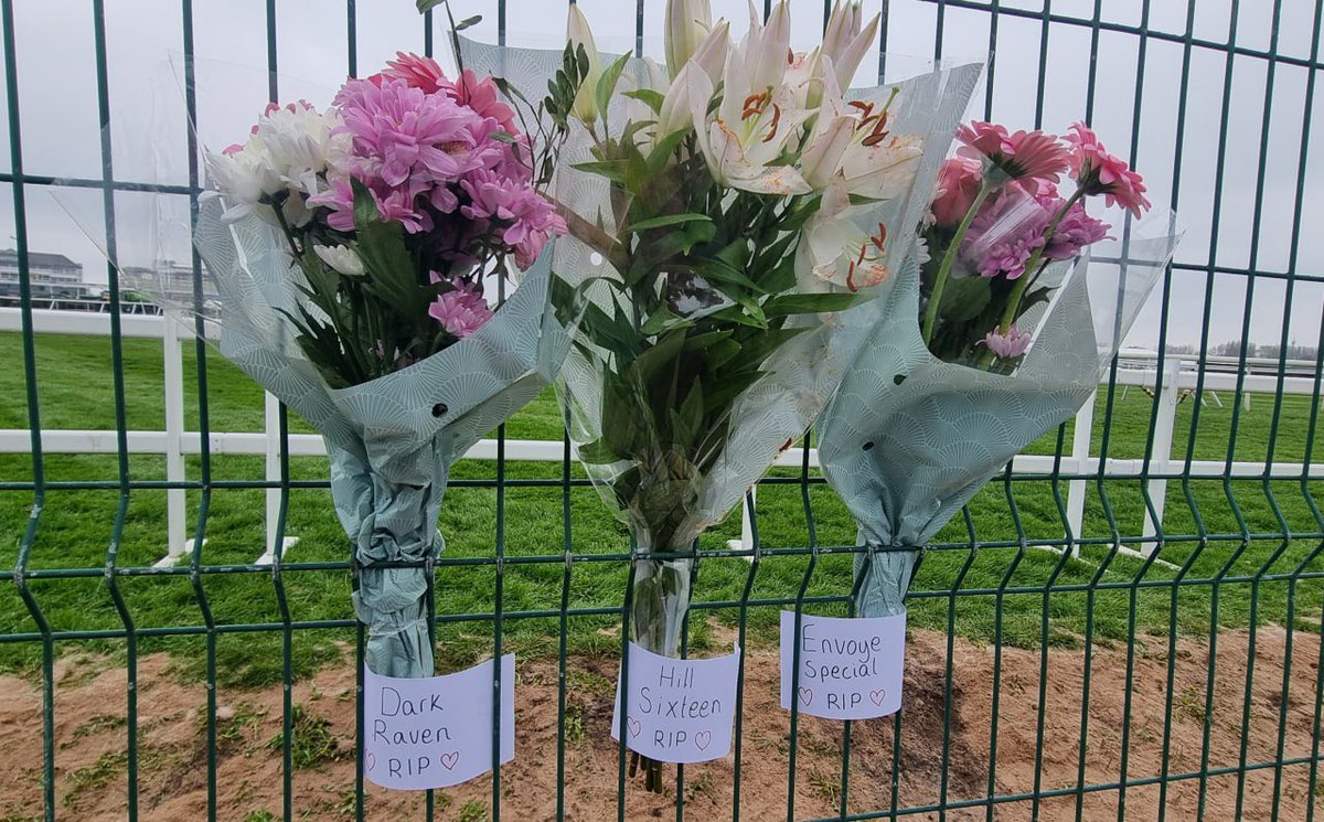 AnimalRising's tweet image. Last week during the Grand National 2023 three horses were killed on the racecourse in as many days. This is the tragedy that we are rising up against, so that no more horses have to die in the name of 'sport.' And this is nothing new, a horse dies every other day in racing in…