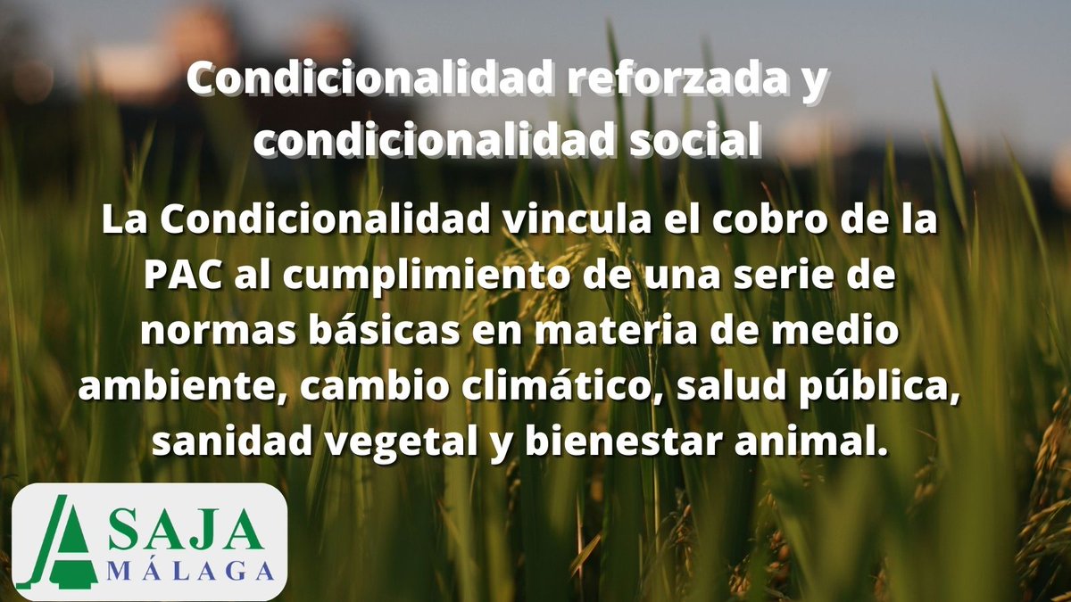 AsajaMalaga's tweet photo. 💡#Condicionalidad #reforzada y condicionalidad #social
https://t.co/AOE5dZUkTU
#ASAJA #PAC #agricultura #ganadería https://t.co/qridl6xRsR