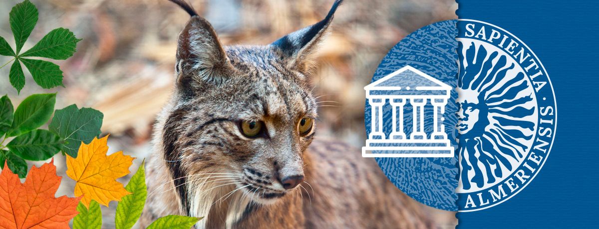 EventoCiencia's tweet photo. El @CECO_UAl abre sus puertas para visitas guiadas a sus exposiciones, laboratorios y salas de conservación y al hermoso jardín botánico de la @UAlmeria: https://t.co/tYcqzraSYR. Con la colaboración de @CienciaGob y @FECYT_Ciencia. #EventoCiencia https://t.co/FtLReZVWVk