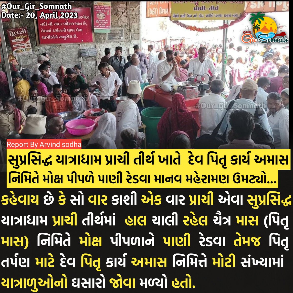 our_gir_somnath's tweet photo. સુપ્રસિદ્ધ યાત્રાધામ પ્રાચી તીર્થ ખાતે  દેવ પિતૃ કાર્ય અમાસ નિમિતે મોક્ષ પીપળે પાણી રેડવા માનવ મહેરામણ ઉમટ્યો....

#our_gir_somnath #girsomnath #prachitirth #tourism https://t.co/4DZXmOw1UA