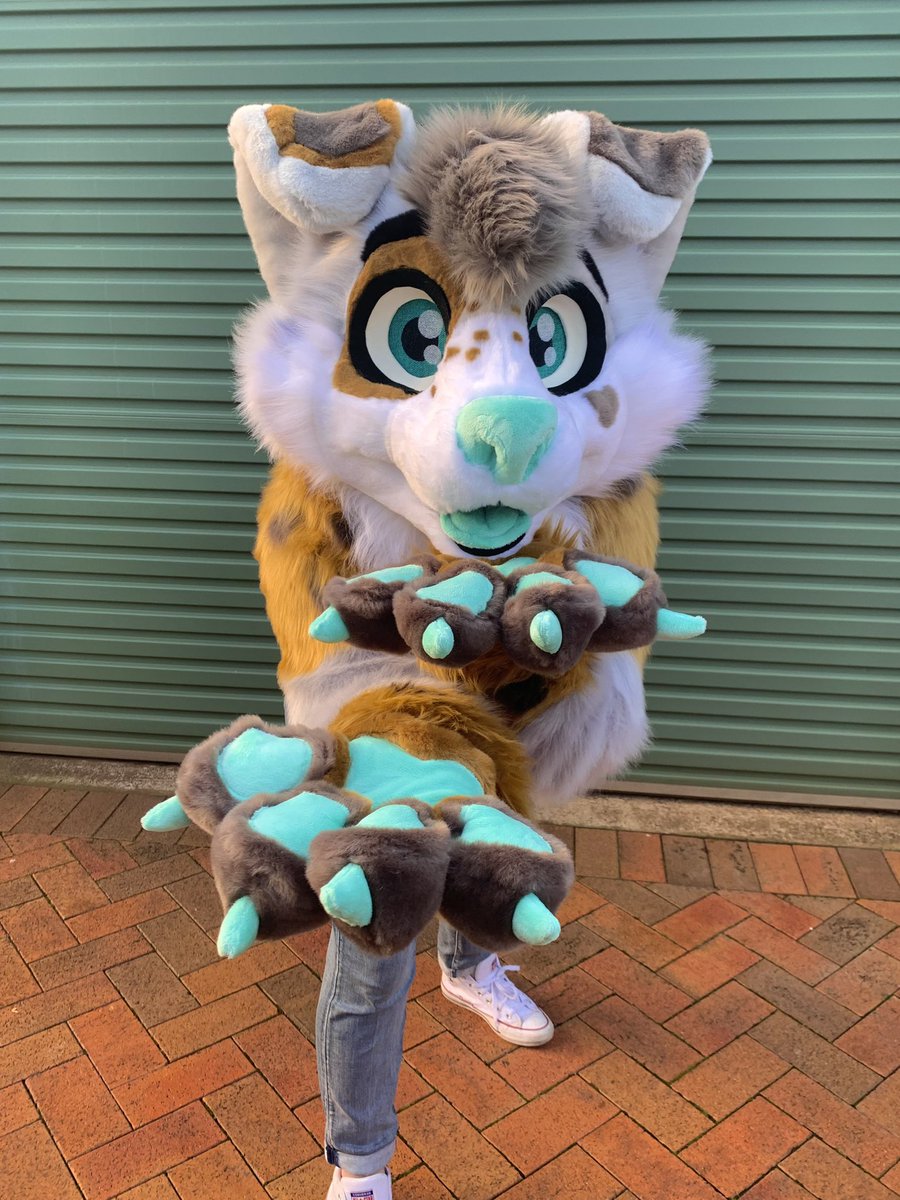 LupeSuits's tweet photo. The very cute puppy Sydney! 🐶 💚 https://t.co/ehYAUIruJd