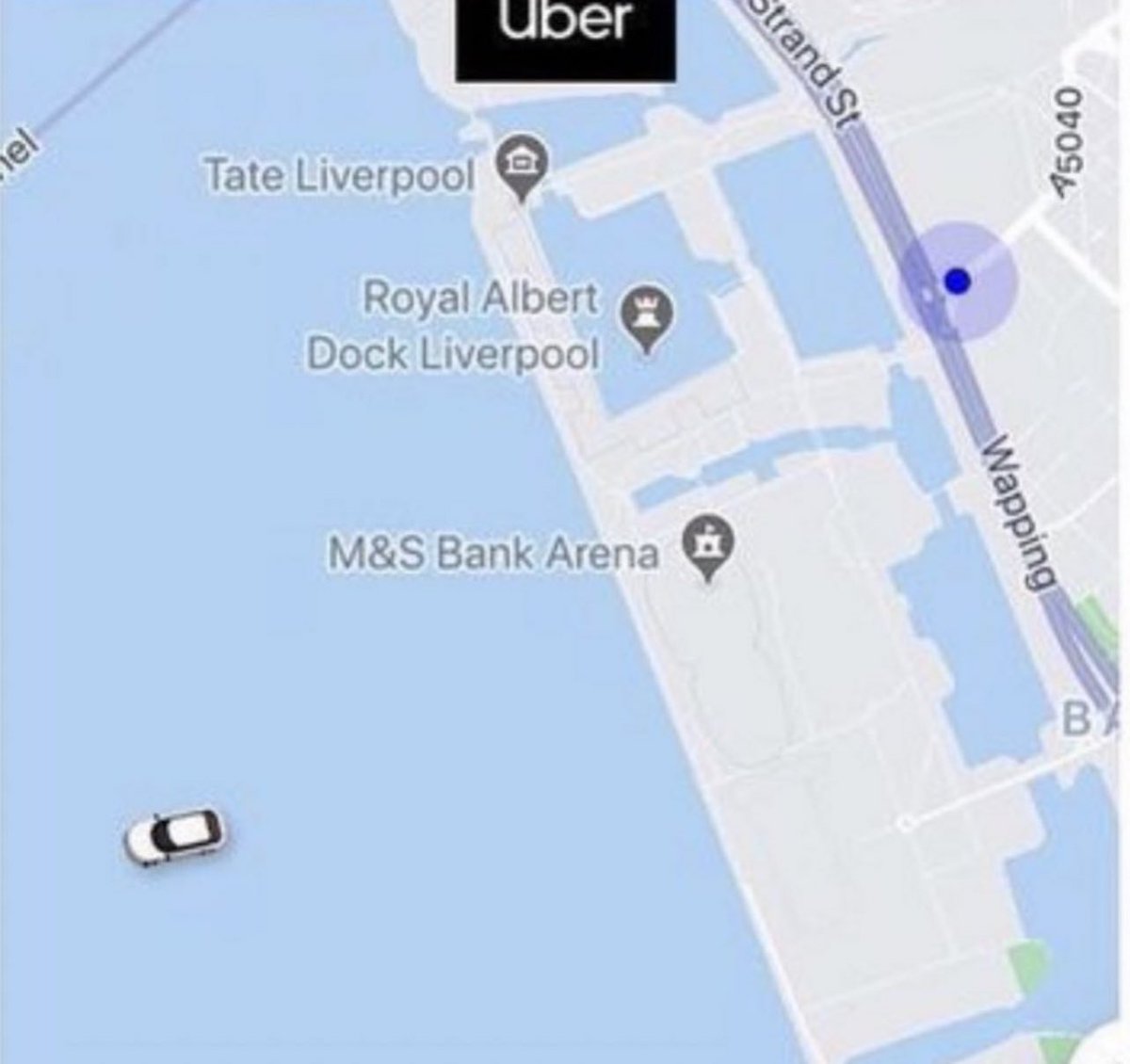 Out of Context Human Race tweet media