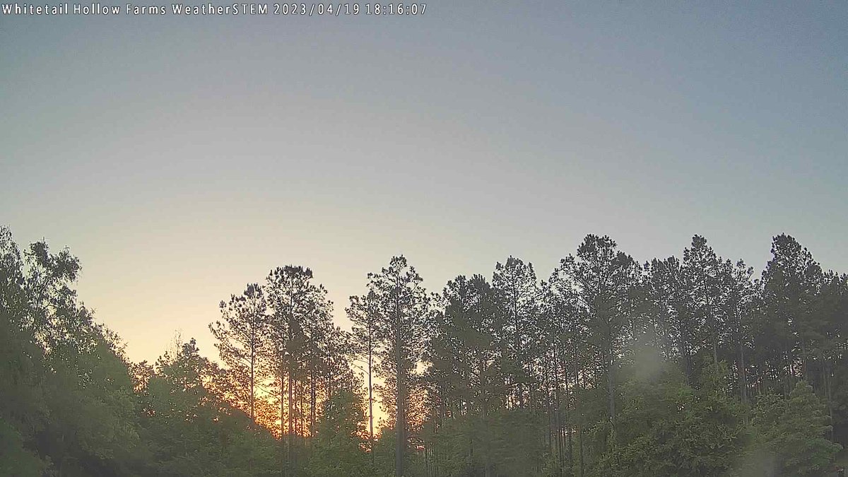 WHFWxSTEM's tweet photo. Whitetail Hollow Farms at sunrise and it's 51.0 F. https://t.co/gDM4IHtQRR