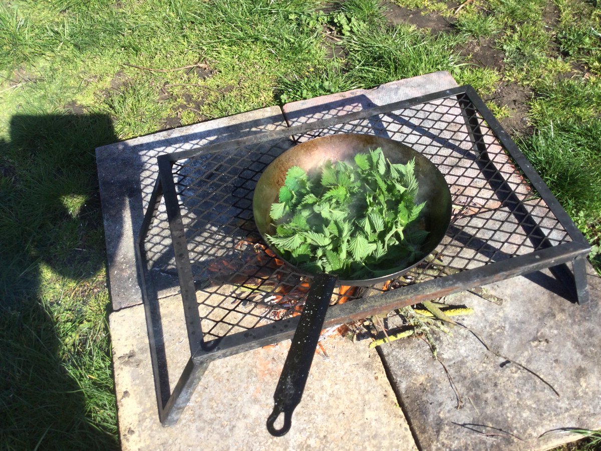 HTAClassSmith's tweet photo. Dragons!! We made our own dragon using a stick and other natural materials then a wand and potion to help train our dragons.We picked cooked  and ate young Spring nettles while we listened to a story.#HTAForestschool https://t.co/ePNKYh96uO