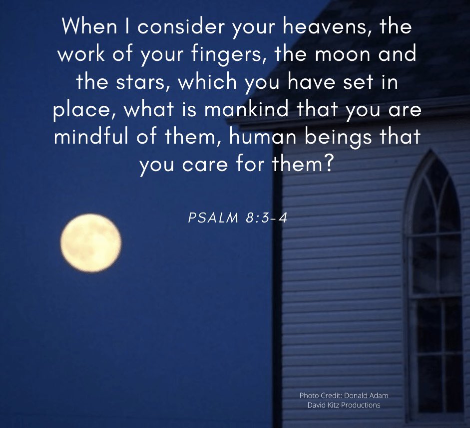 meg ragland wood (@megrwood) on Twitter photo 