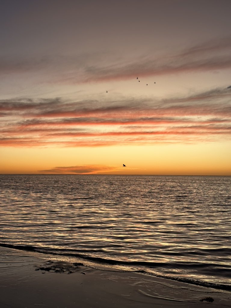 nessa_b117's tweet photo. Penultimate night. I don’t want to go home. WA at its best!! @WestAustralia #coralbay #exmouth https://t.co/oK9AVdNPOw