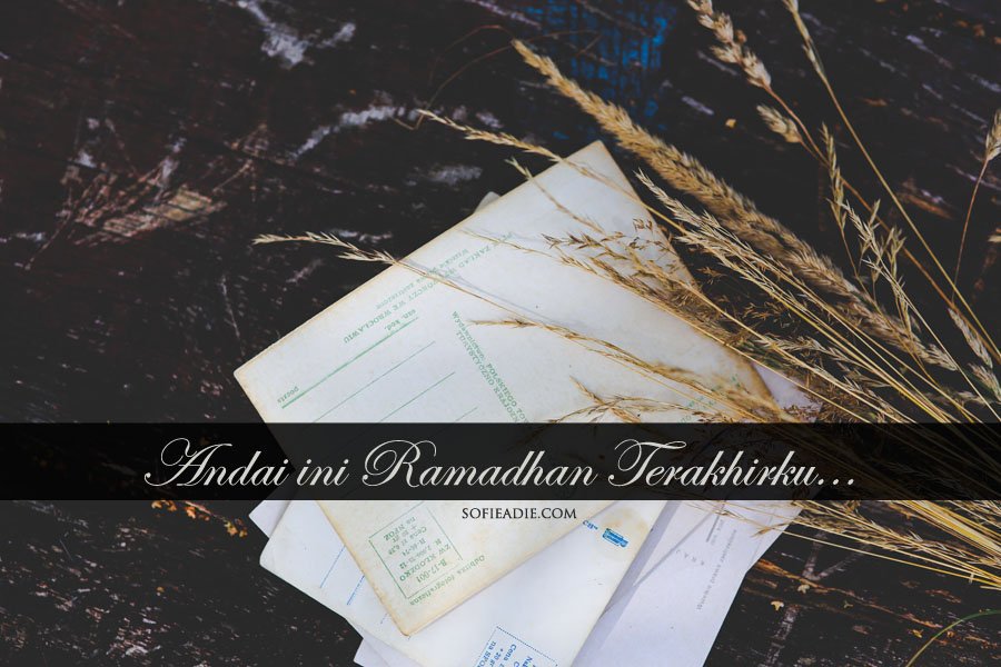 Bobby Visca tweet media