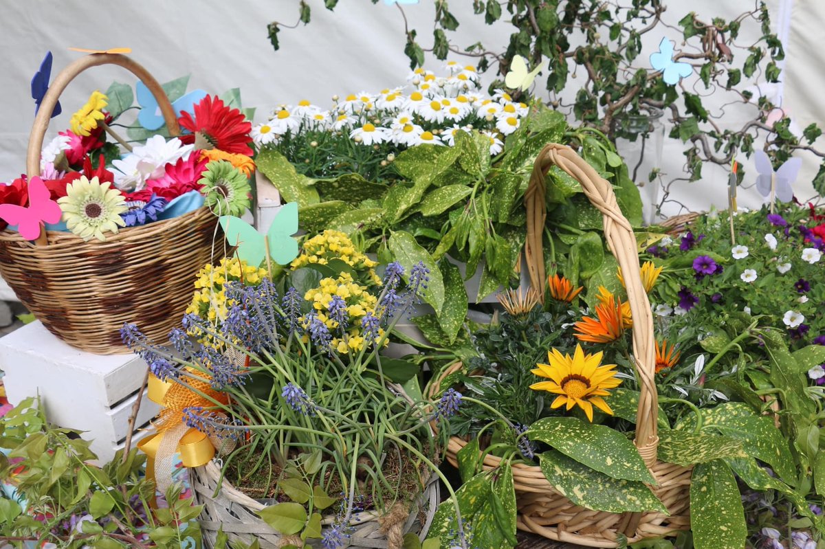 PLocoFVGEventi's tweet photo. 💐#Mercatino di #Primavera: un'occasione per ri-scoprire #Aquileia il 23 aprile
Info >> https://t.co/qjdLPYdkmr

@FVGlive @UNPLI https://t.co/v6jhvs2Tae