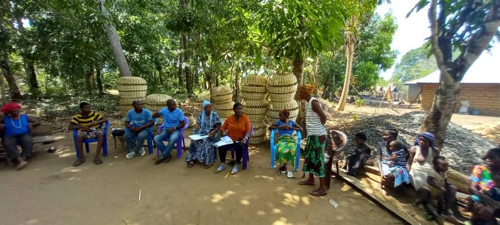 Ireland in Sierra Leone tweet media