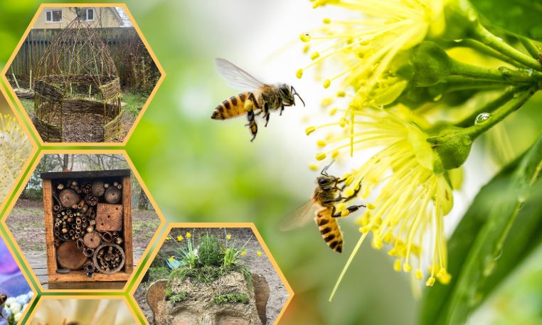 CaerphillyCBC tweet media