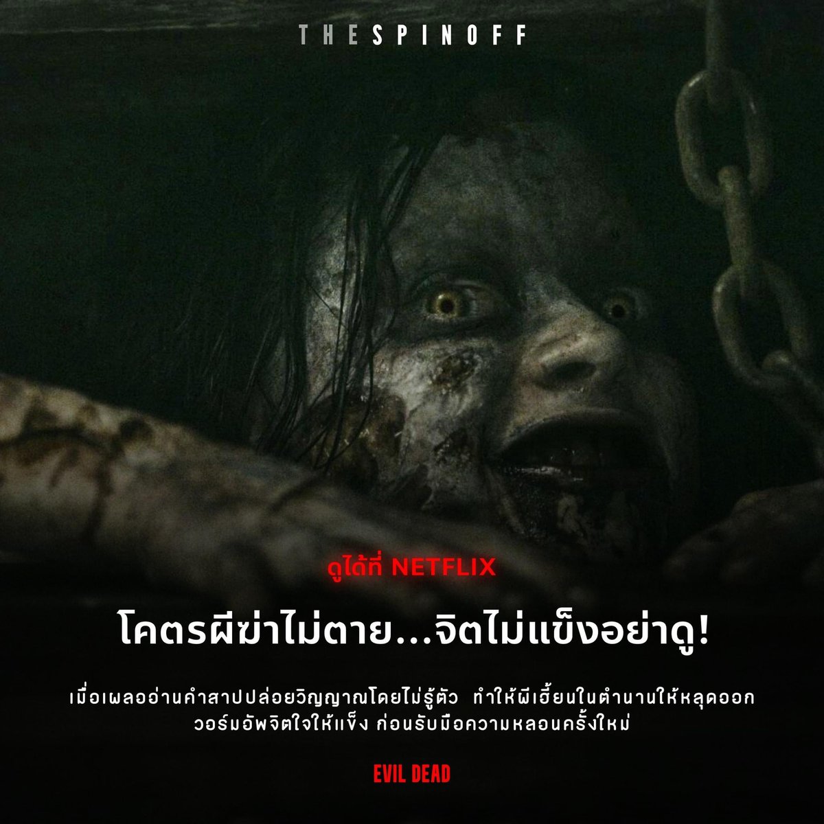 copterxNetflix's tweet photo. ✏️ โปรรีทวิต  ⓘ

˓ 𓈒 🥦 ♡︎ Netflix Premium 4k ✜ 🧽 𓂂 𓈒 🅿️

🍅 ⁺ 𓏰 7 วัน 39.- ✍🏻 รีทวิต 35.-

🍞 ⁺ 𓏰 30 วัน 105.- ✍🏻 รีทวิต 99.-

♡︎ เเอคไทย
♡︎ จอส่วนตัว
♡︎ ต่อเมลได้
♡︎ จอมีปัญหาเคลมให้ฟรี !

#เน็ตฟลิกซ์ราคาถูก #หารnetflix #หารnetflixราคาถูก #netflixราคาถูก https://t.co/RjHAHZ9pzG