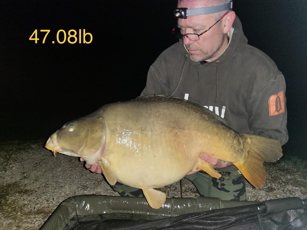 Galaxy Baits tweet media