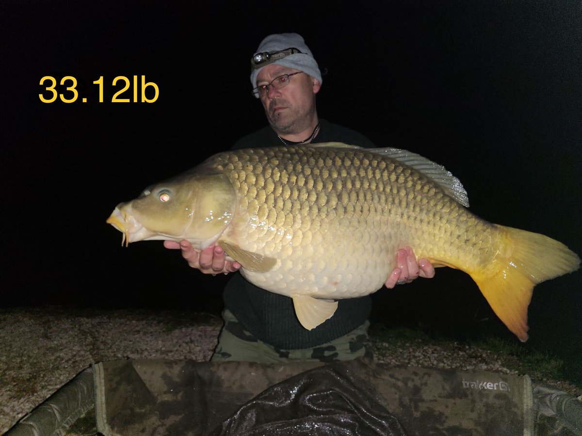 Galaxy Baits tweet media