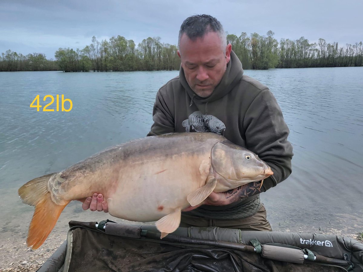 Galaxy Baits tweet media