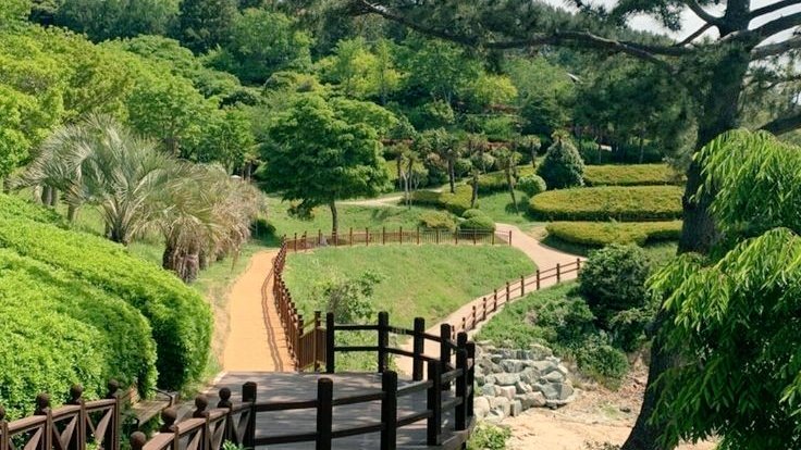 moodyonmoon's tweet photo. Wishing you a calm day ☘️ https://t.co/nsnuk0pZ7p