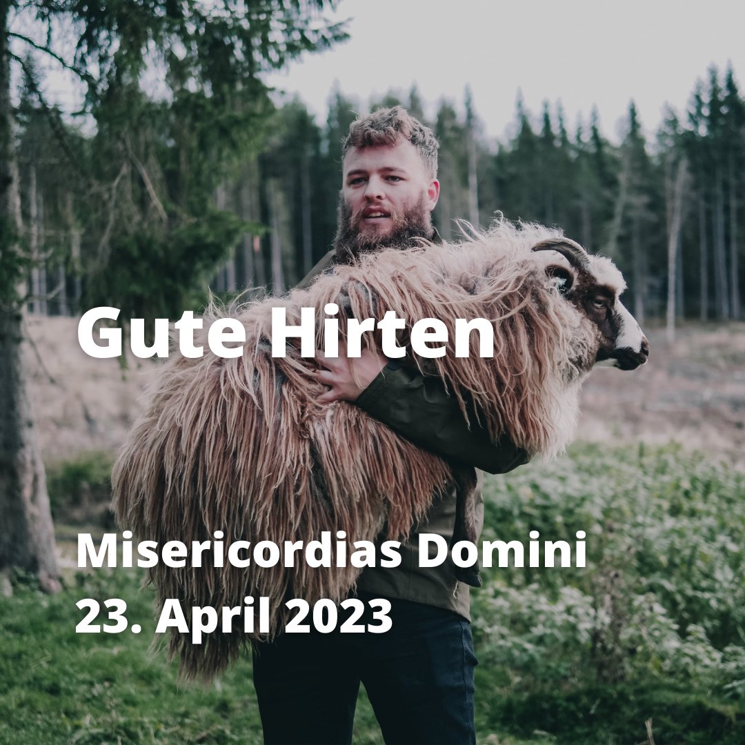 KircheDenkenUZH's tweet photo. "Der Herr ist mein Hirte" und wir sind manchmal richtige Schafe... Die GPI-Predigten dieser Woche sprechen in Bezug auf 1. Petrus 5,1-4 über Kirche und Schafställe sowie Menschen als Hirten in der Nachfolge Christi.
https://t.co/Txaxc1JOel
#predigten #zke #kircheundschafe https://t.co/IiYqwHkBtB