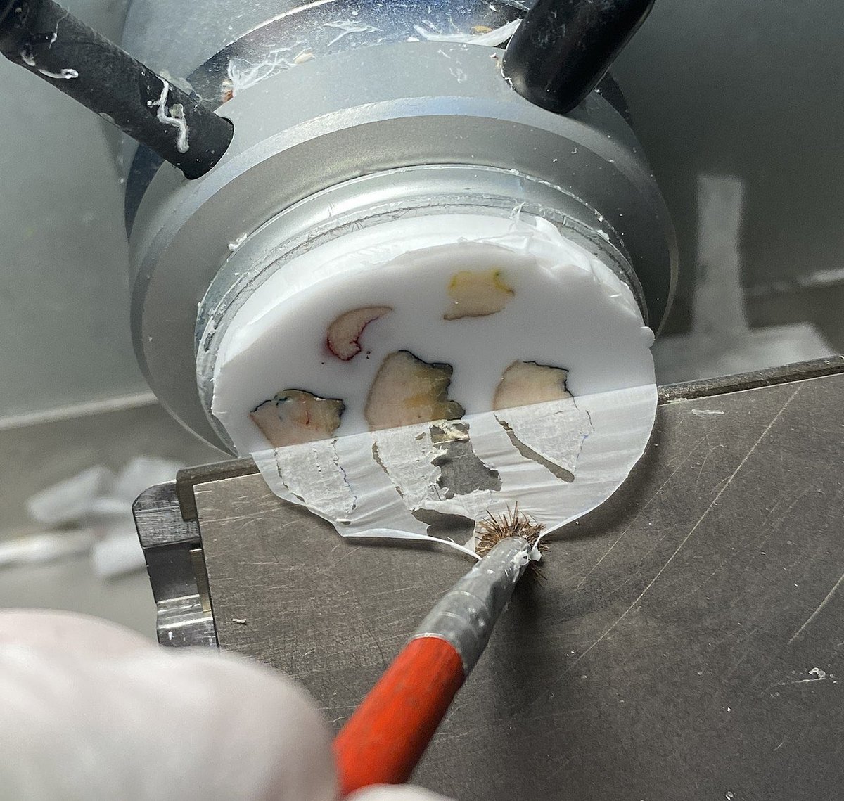 Path4People's tweet photo. When your health needs a quick inspection,
And your tissue's in need of detection,
Pathologists use frozen sections,
A life-saving tool, no need for objections! ❄️🔍 #pathologyrocks #pathologypoetrythursday https://t.co/aBvfY3MutQ