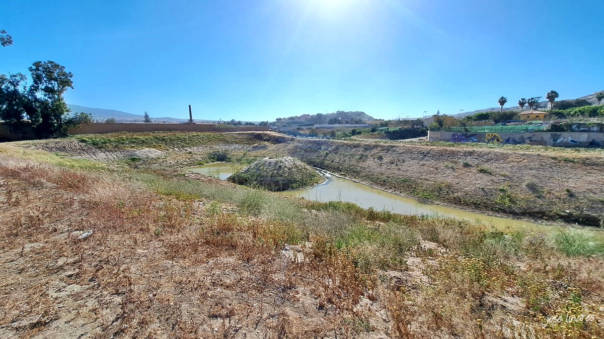 UnodeMelilla's tweet photo. Laguna de los Pájaros, renaturalización del Río de Oro, Melilla

#Melilla #Río_de_Oro #Renaturalización https://t.co/99Uzr6r9bs