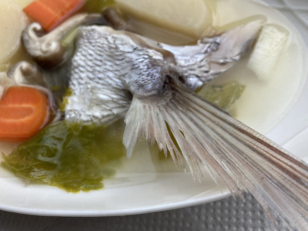 anotherstorys0's tweet photo. ５日前の土曜日に買った真鯛アラのカマ、ぶり大根の大根を使って、
国籍不明の一品を作って母に献上した。
後期高齢者になって食欲の落ちた彼女が、夢中で食べていた。
ジャーナリズムでは説明したできない、名もなき料理。
290円の真鯛のアラ、
まだ終わらない。 https://t.co/nAcnhodFFB
