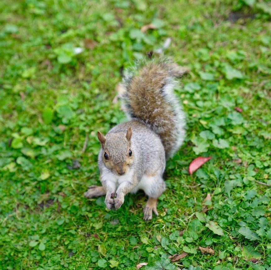 The rest of your life is expensive, please don't waste it. Facing the wind, not afraid of difficulties. Always live for yourself, and have a particularly bright smile. Don't care about other people's pointers, just be yourself. If you are not particularly lucky, then please make