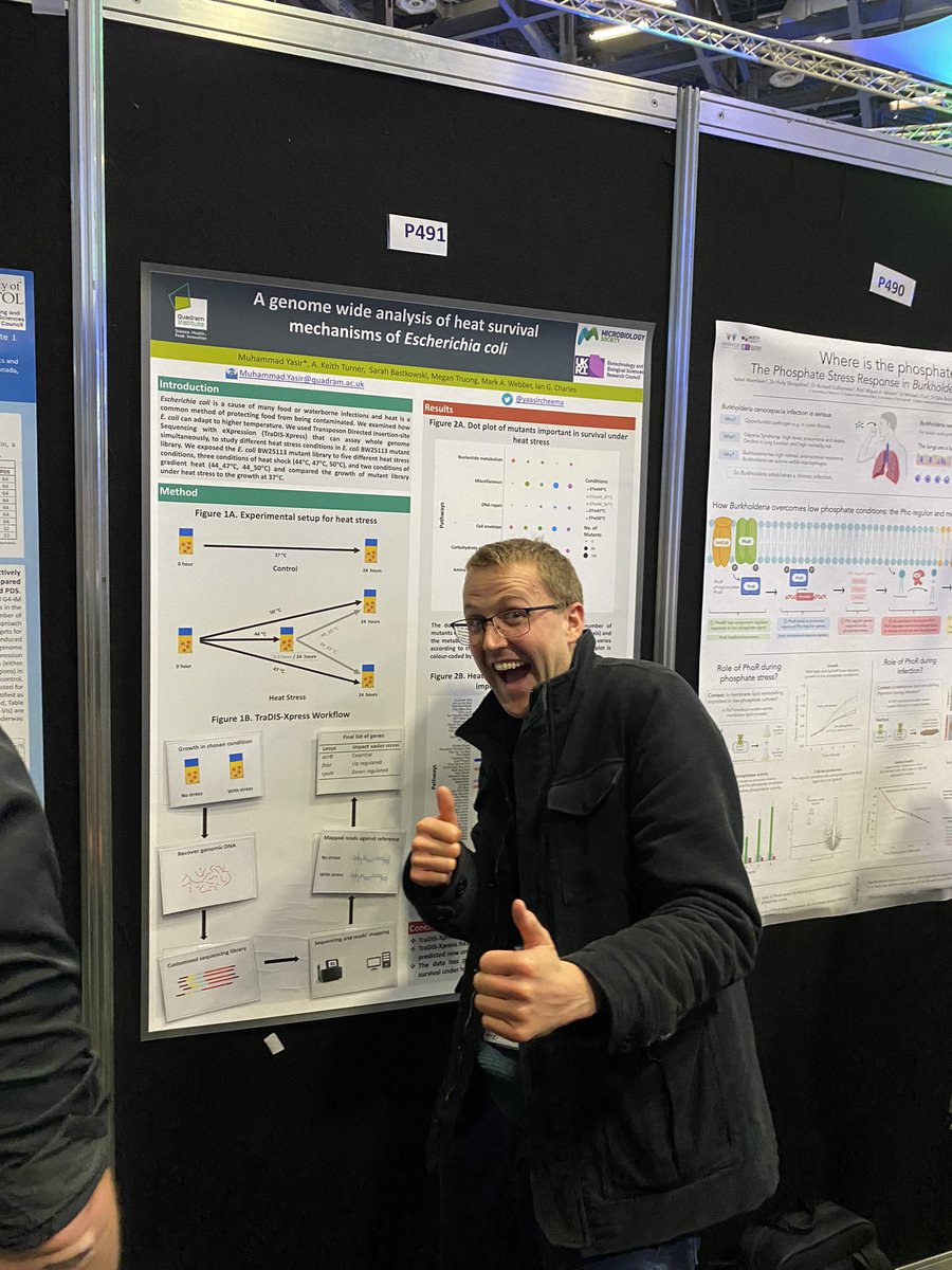 yaasircheema's tweet photo. Just couple of hours left of P491 at @MicrobioSoc #microbio23 to be on the list of #TraDIS-xpress puzzle experts https://t.co/QOTCHzcrML