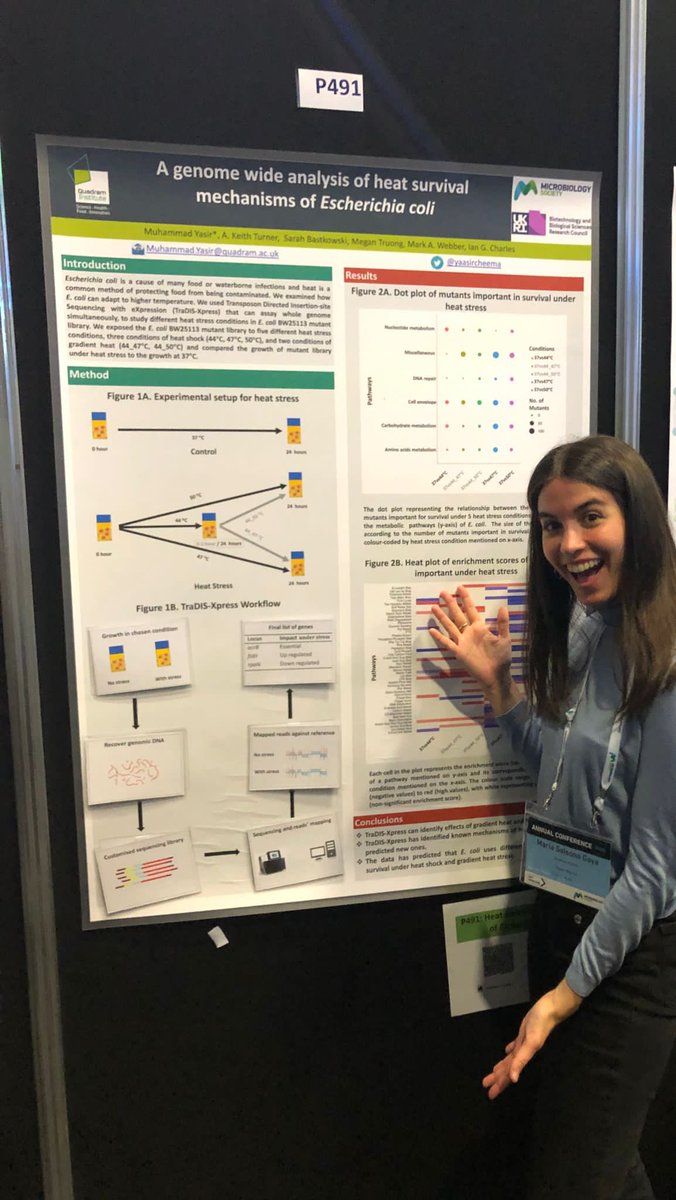 yaasircheema's tweet photo. Just couple of hours left of P491 at @MicrobioSoc #microbio23 to be on the list of #TraDIS-xpress puzzle experts https://t.co/QOTCHzcrML